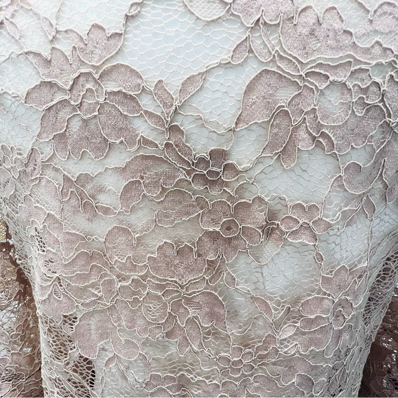 TOBI Blush Pink Nude Lace Scallop Plunge Chiffon Mini Dress Bell Sleeve … - Picture 13 of 16